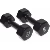 Oeny Electroplated Dumbbells - 12-15lb Strength Training